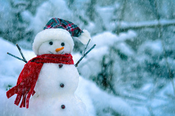 Snowman on a background of blue winter forest.