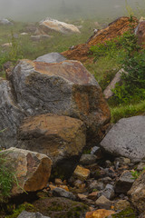 the rustty rocks in the grassy field