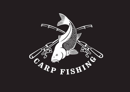 image carp fish