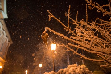 city park lantern during snow fall