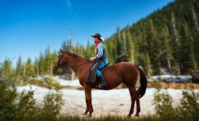 Cowboy in jeans and leather jacket riding a horse