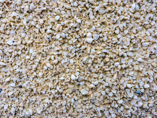 sand texture close-up