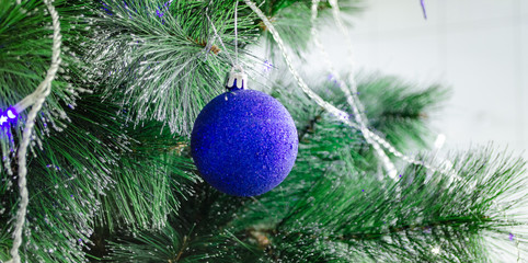 Christmas background Blue shiny ball on the green branch Christmas tree, New Year 2019, Christmas 2019, Selective Focus, Copy Space