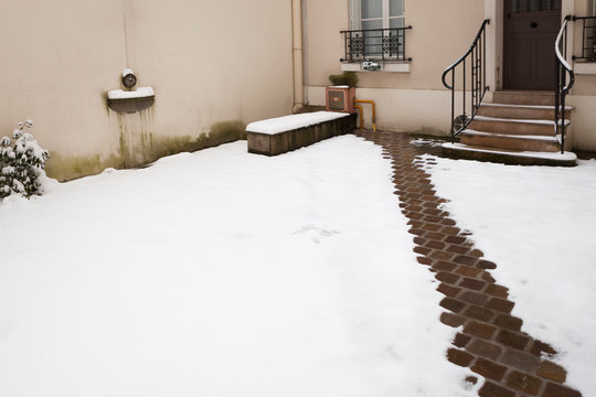 Courbette Bilder Durchsuchen 75 Archivfotos, und