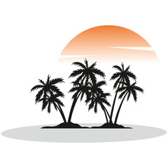 palm trees and sunset
