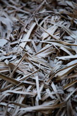 frozen background.  Abstract frost grass