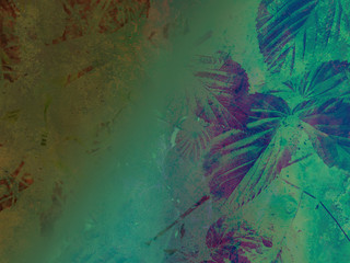 foliage © neurostructure