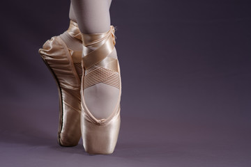 ballet shoes - 239052540