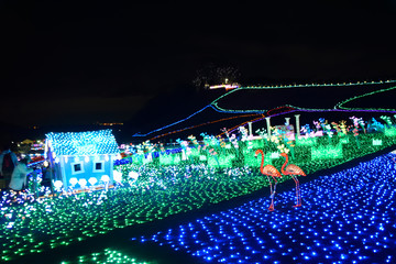 東京ドイツ村ウィンターイルミネーション