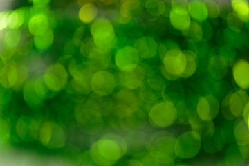 Fototapeta premium Colorful Abstract Ultra Green bokeh background. 2019