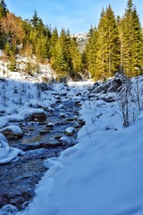river in winter