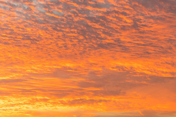 Fototapeta premium sunset with orange sky. Hot bright vibrant orange and yellow colors sunset sky. sunset with clouds