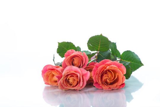 bouquet of beautiful pink roses isolated on white