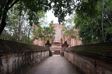 bridge over the river