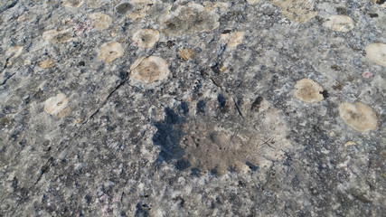 Stećak (Stećci, Stecak, Stečak) are a monumental medieval tombstones that are scattered across Bosnia and Herzegovina and Croatia. 