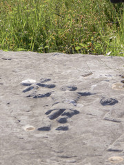 Stećak (Stećci, Stecak, Stečak) are a monumental medieval tombstones that are scattered across Bosnia and Herzegovina and Croatia. 