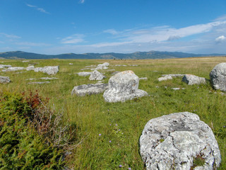 Stećak (Stećci, Stecak, Stečak) are a monumental medieval tombstones that are scattered across Bosnia and Herzegovina and Croatia. 