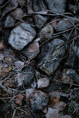 Ice and rocks on the beach. Frozen background