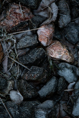 Ice and rocks on the beach. Frozen background