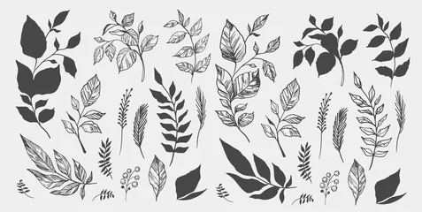 Tuinposter Set of leaves. Hand drawn decorative elements. Vector illustration © aksol