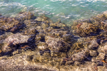 Naklejka na ściany i meble view of sea and rocks and sealife from above