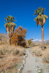 Fototapeta na wymiar California Desert Landscape in Autumn