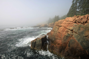 The rugged granite coast of Acadia National Park, Maine, on a foggy summer morning.