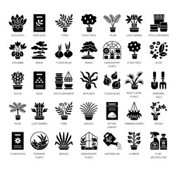 Different kinds of house plants in containers. Succulent, cactus, bamboo, palm, fern. Vector flat icon set. Isolated objects