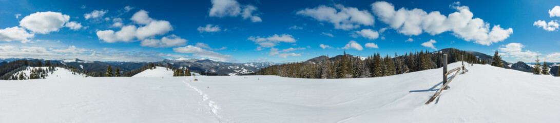 Winter snowy Carpathian mountains, Ukraine