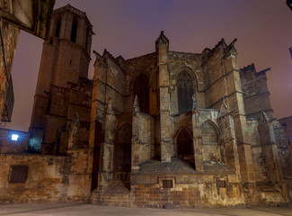 Fototapeta na wymiar Barcelona. The Cathedral at dawn.