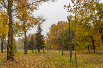 Fototapeta premium autumn in the city park