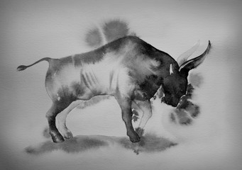 bull, Buffalo, painted in watercolor, ink on a white background, brutal evil, bullfighting, symbol of the year.