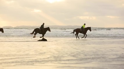 Horses at gallop on the beach at sunset