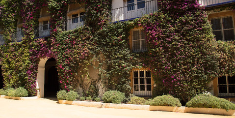 Obraz premium dom, budynek, architektura, kwiaty