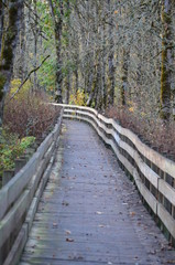 Obraz premium Boardwalk