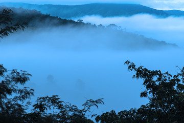 Obraz na płótnie Canvas foggy day in Brazil 