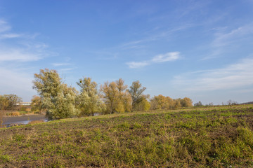 Autumn field and blue sky