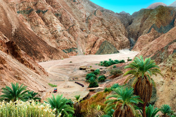 Oase im Sinai Gebirge Ägypten
