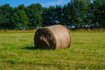 Hay bale