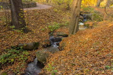 autumn in the park