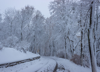 Winter in the city park
