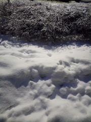 Snow