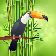 Toucan and bamboo