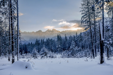 Wspaniała śnieżna zima w górach