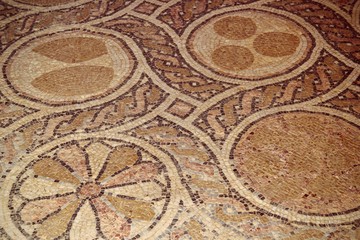 Mosaic Floor in Gallilee