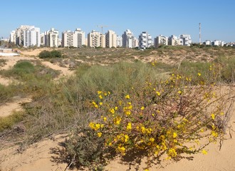 Panorama of the new district of the city of Holon in Israel. View from the sand dunes