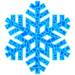 Snowflake isolated on light background.