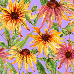 Beautiful echinacea flowers (coneflower) with leaves on lilac background. Seamless floral pattern.  Watercolor painting. Hand painted botanical illustration.
