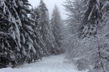 Zimowy krajobraz w polskich górach