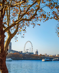 London eye from the other side of the thames river - obrazy, fototapety, plakaty